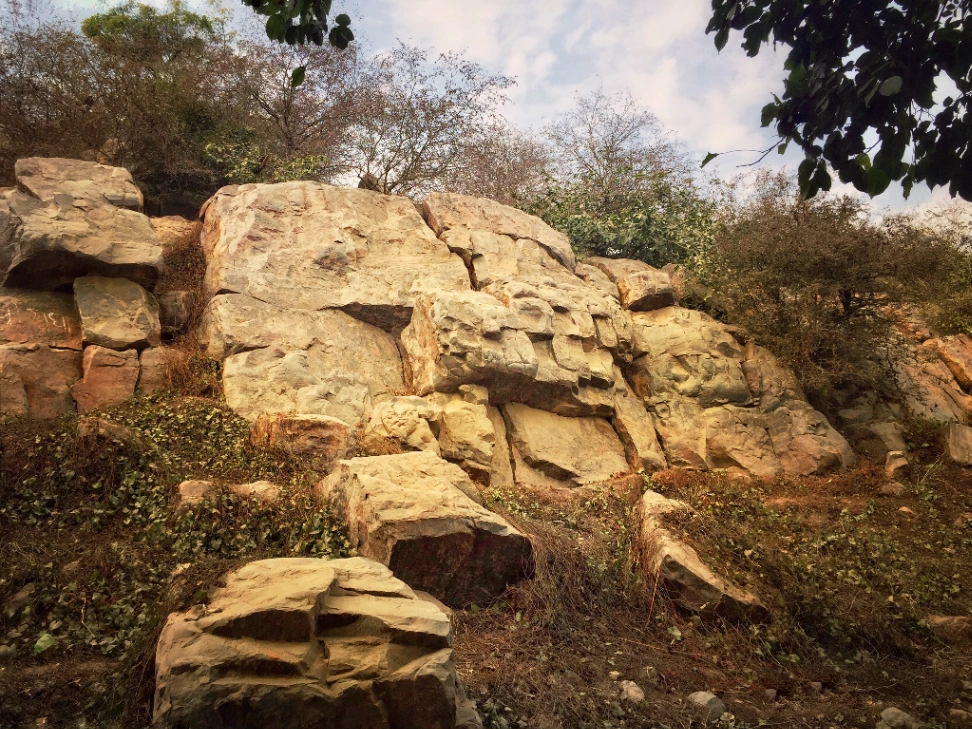 Family Yatra in Govardhan