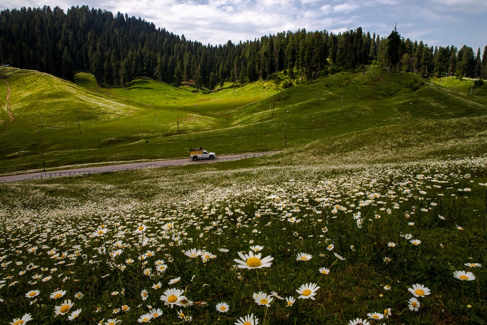 Balanced Darshan in Gulmarg