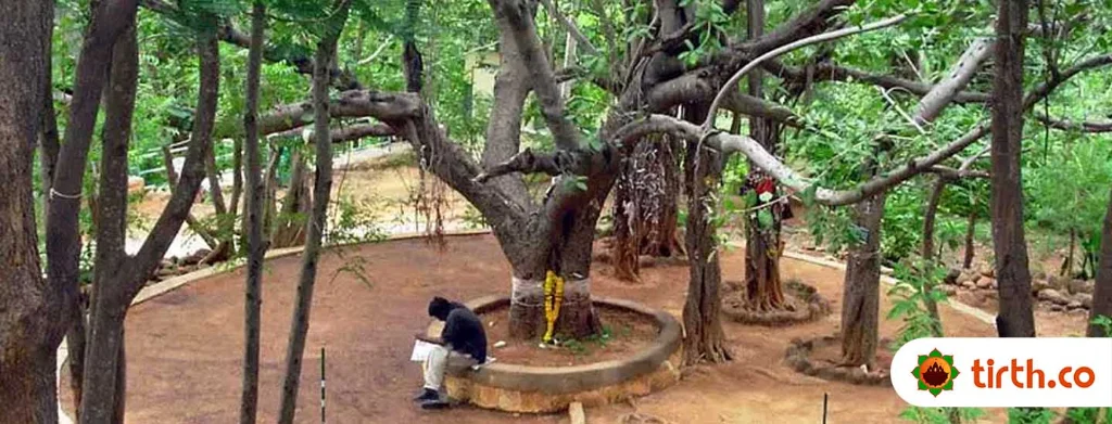 Vata Vriksha Meditation Tree-temple-cover