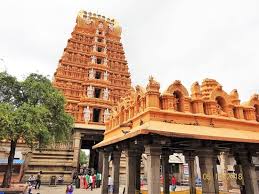 srikanteshwara-(nanjundeshwara)-temple-temple-cover-img